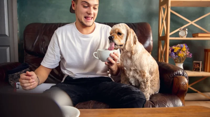 Can Dogs Have Popcorn