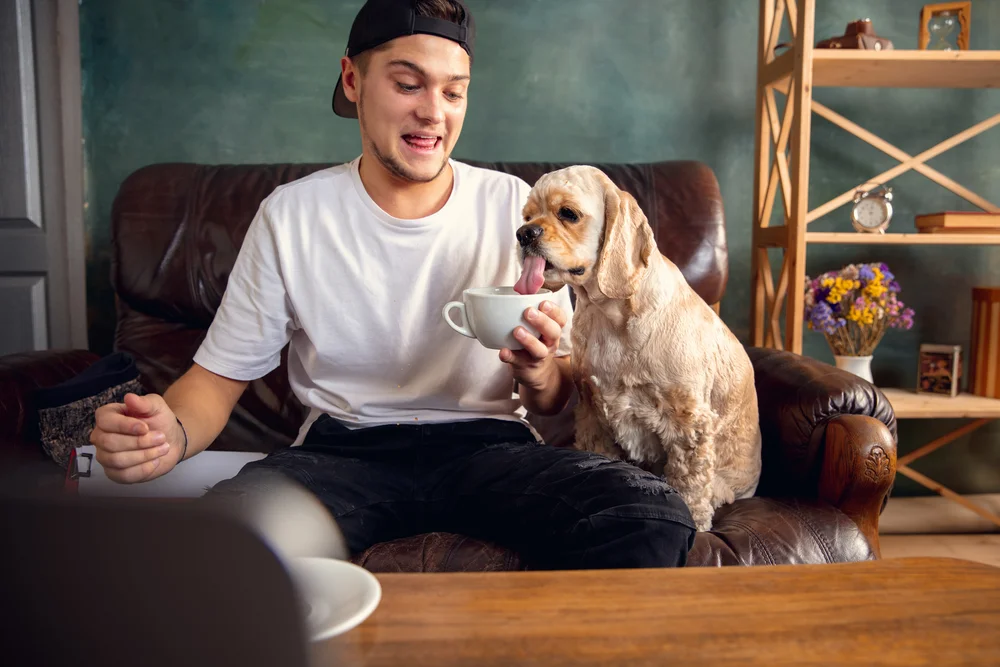 Can Dogs Have Popcorn